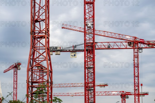 Construction cranes, on a large building site in Düsseldorf, Deiker Höfe, North Rhine-Westphalia,