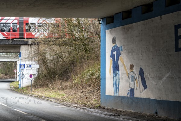 Wall murals, fan paintings of the Bundesliga club FC Schalke 04, at the Schalke stadium, Veltins