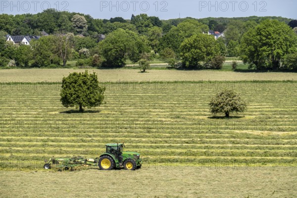 Hay harvest, in a meadow near Duisburg-Baerl, tractor with roundabout tedder, a hay tedder that