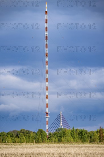 Niederrheinbrücke Wesel, bridge pier, B58, cable-stayed bridge, the Wesel transmitter, 320 metre
