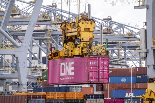 RWG Container Terminal, containers being loaded by crane, seaport of Rotterdam, Maasvlakte 2