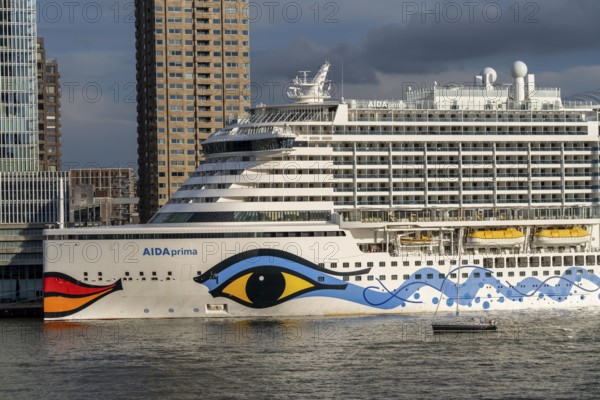 Rotterdam, skyline at the Nieuwe Maas, skyscrapers at the Kop van Zuid district, cruise ship Aida