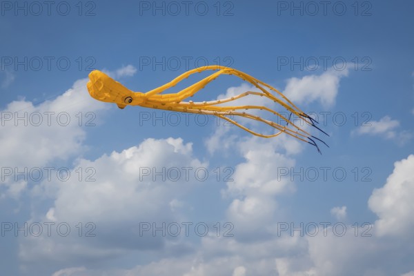 Yellow squid as flying dragon, octupus, wind, childhood, figure, blue sky, autumn, Germany, Europe