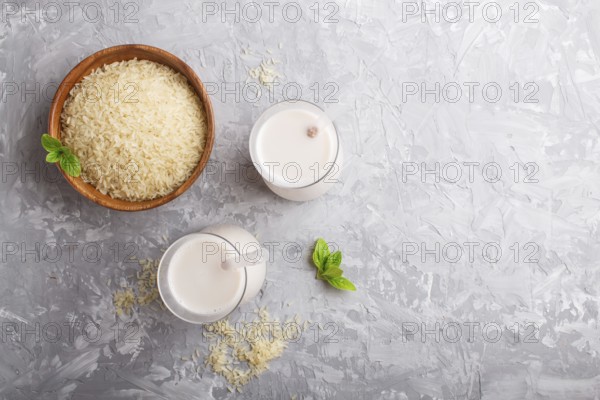 Organic non dairy rice milk in glass and wooden plate with rice seeds on a gray concrete background
