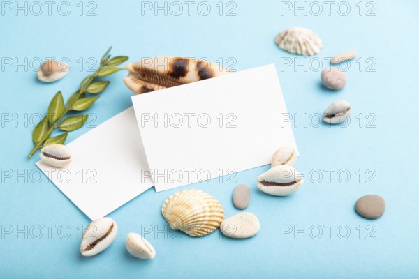 Composition with white paper business cards, seashells, green boxwood. mockup on blue pastel