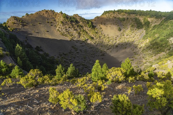Hoya de Fireba volcano crater, El Hierro, Canary Islands, Spain, Europe