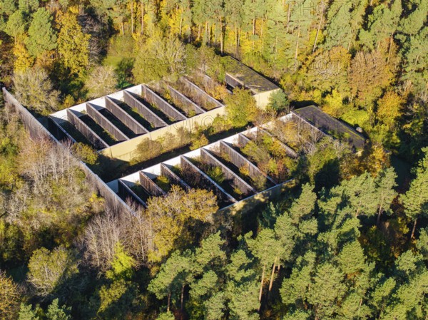 A building surrounded by autumn-coloured forest in a natural environment from a bird's eye view,