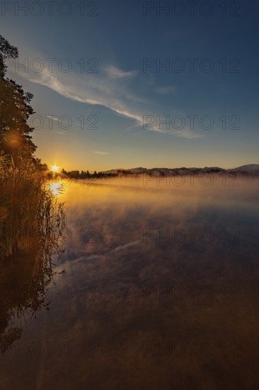 Autumnal morning atmosphere at Schmutter Weiher with fog near Lechbruck, Halblech and Roßhaupten in