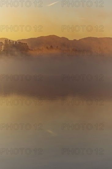 Autumnal morning atmosphere at Schmutter Weiher with fog near Lechbruck, Halblech and Roßhaupten in