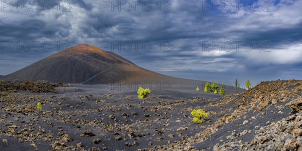 Chinyero volcano, Arena Negras zone, Teide National Park, Tenerife, Canary Islands, Spain, Europe
