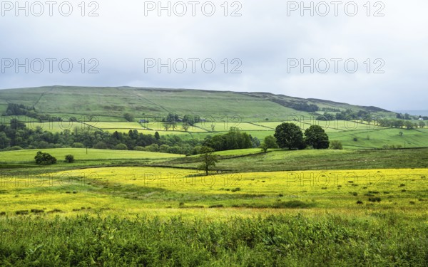 Farms over North Pennines, Cumbria, Durham, Northumberland, North Yorkshire, England, United