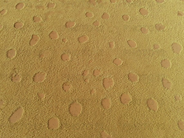 Fairy circles in the Giribisvlakte, aerial view, near Tomakas, Kaokoveld, Kunene Region, Namibia,