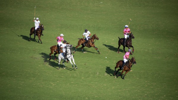 Scene from the 131st Argentine Open Polo Championship (Spanish: Campeonato Argentino Abierto de