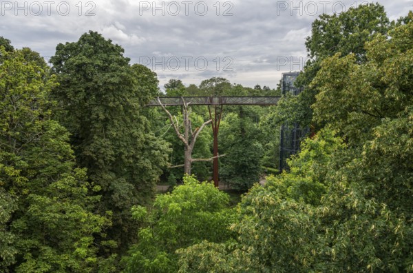 Lift to the Treetop Walkway, steel structure, Royal Botanic Gardens (Kew Gardens), UNESCO World