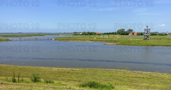 Observation tower at Plan Tureluur, nature reserve near Kerkwerwe on the island Schouwen-Duiveland,