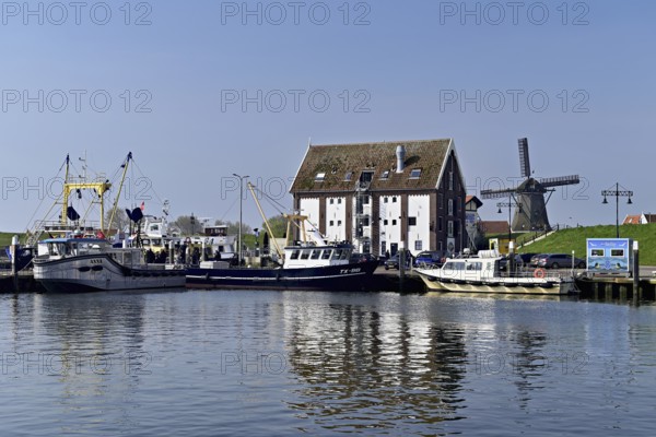Fishing boats in the home harbour of the fishing fleet, Oudeschild, Texel, North Holland,