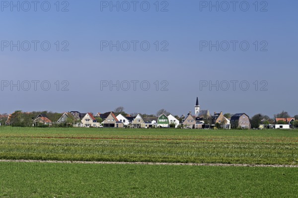 Village view with 600 year old Hoornder church, reformed church, Den Hoorn, Texel, Holland,