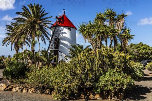 2016, Tiagua, Lanzarote, Farm Museum El Patio, Tiagua, ESP, Spain, Canary Islands, Canary Islands,
