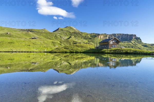 Hut at Fuscher Lacke, Edelweißspitz in the background, blue sky, reflection, Grossglockner High