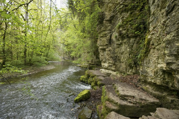 Hiking trail by the river, Wutach Gorge, Bonndorf, Baden-Württemberg, Black Forest, Germany, Europe