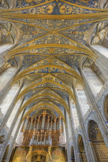 Ceiling fresco and organ in St Cecilia's Cathedral, Albi, Département Tarn, France, Europe