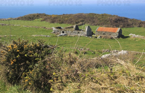 Abandoned ruined croft building on west coast of Cape Clear Island, County Cork, Ireland, Irish