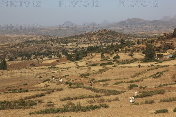 Tigray region, view over a barren landscape between Axum and the border of Eritrea, Ethiopia,