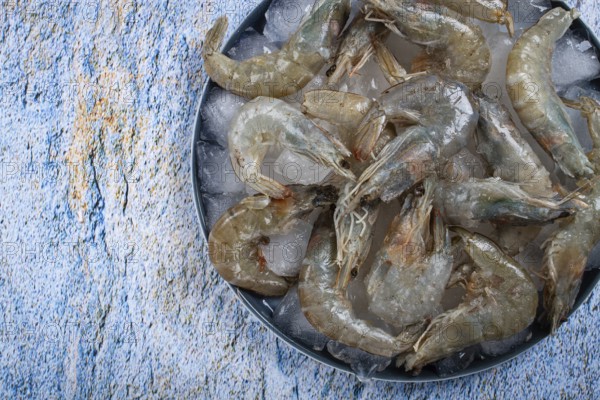 Fresh raw shrimp, spread on ice with lemon and cilantro slices on a marble surface, ready to cook,