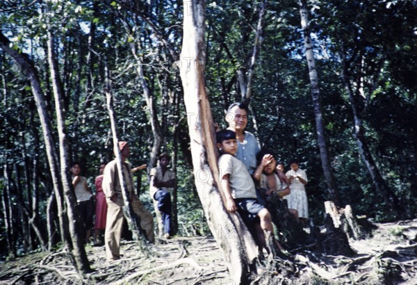 Indian Guyana, West Indies, South America, 1960 1961, then colony of British Guiana