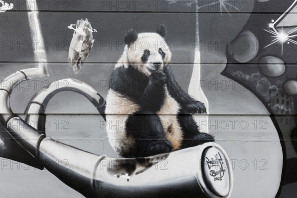 Happy panda bear sitting on bamboo, graffiti, Duisburg, North Rhine-Westphalia, Germany, Europe