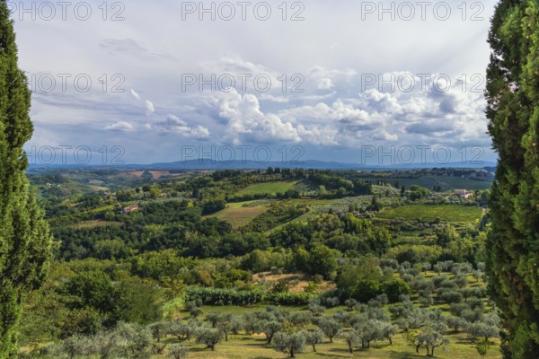 Hilly landscape, cypress (Cupressus), olive, olive tree (Olea europaea), weather, clouds, sky, San