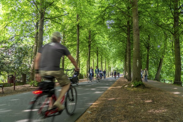Promenade cycle path, tree-lined, car-free, approximately 4.5 km long ring road around the city