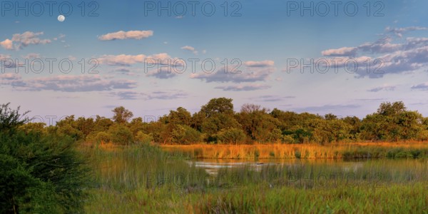 Moanachira River, nature, landscape, romantic, safari, natural landscape, travel, holiday,
