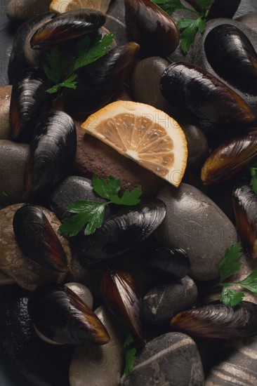 Fresh mussels, on rocks, top view, food concept, selective focus, seafood, no people