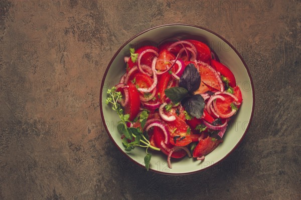 Fresh tomato salad, with red onion, spices and herbs, top view, close-up, homemade