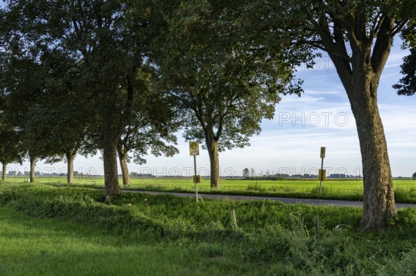 Public transport stop on land, Lower Rhine, Elendshof near Kalkar-Grieth, Rheinuferstraße, 2