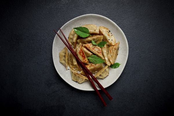 Japanese fried dumplings, gyoza, sesame seeds, top view, no people