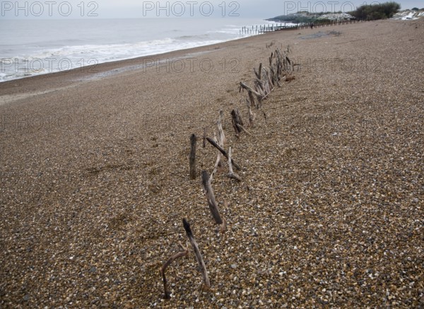 Mysterious lines wooden stakes exposed by fall in beach level possibly historic coastal defences,