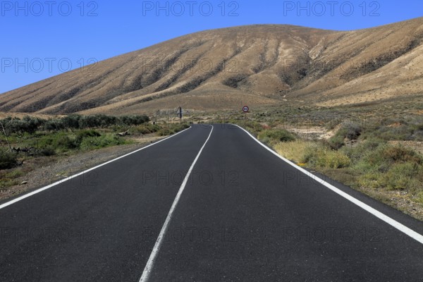 Tarmac road crossing desert, Fuerteventura, near Pajara, Canary Islands, Spain, Europe