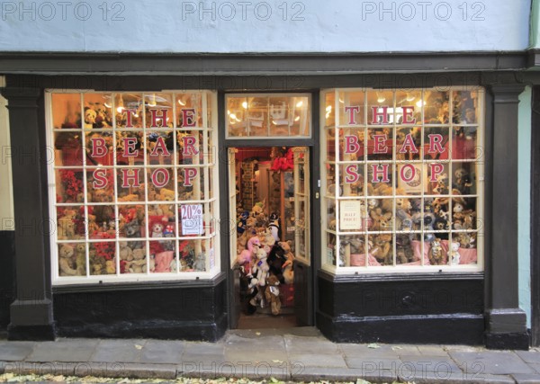 Historic buildings in Elm Hill, The Bear Shop, Norwich, Norfolk, England, UK