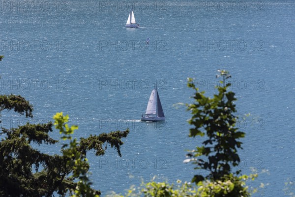 Sailing boat on Lake Lucerne, Flüelen, Canton Uri, Switzerland, Europe