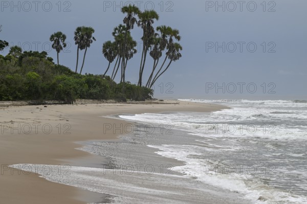 Beach, Petit Loango, Loango National Park, Parc National de Loango, Ogooué-Maritime Province,
