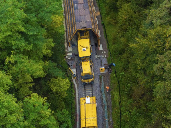 Yellow train exits a tunnel surrounded by forest while workers stand on the tracks, tamping