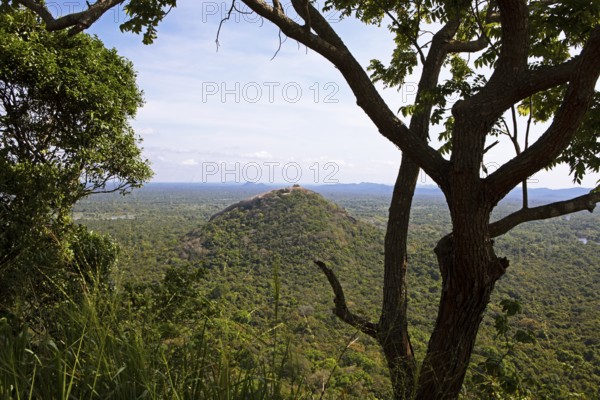View of the jungle landscape from the Lion Rock, ruined city of Sigiriya, Central Province, Sri