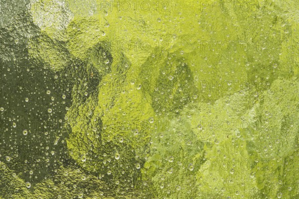 Raindrops, frosted glass pane