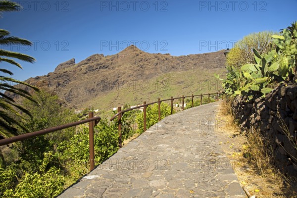 Masca, Teno Mountains, Tenerife, Canary Islands, Spain, Europe