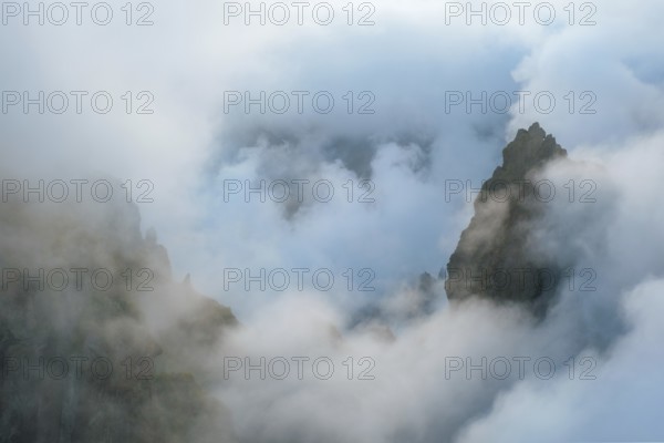 A mountain covered in fog and clouds with blooming Cytisus shrubs. Near Pico de Arieiro, Madeira