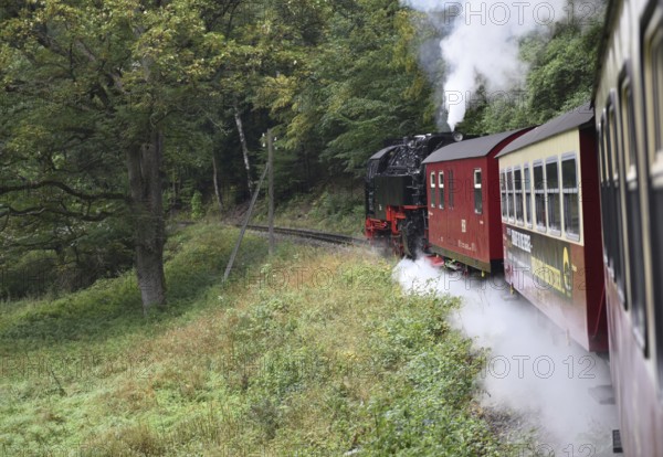 Selketalbahn, Harzer Schmalspurbahn, Brockenbahn runs through the Harz Mountains, Saxony-Anhalt,