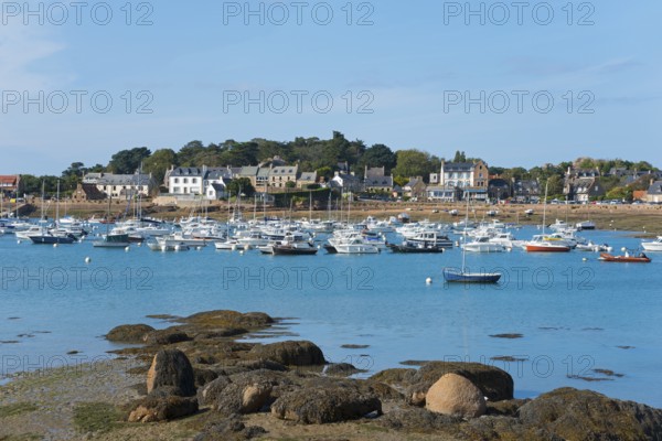 A multitude of boats in the harbour in front of a coastal town, Ploumanac'h, Ploumanach,