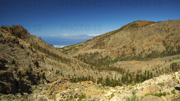 Parque Nacional de las Canadas del Teide, Teide National Park, UNESCO World Heritage Site,